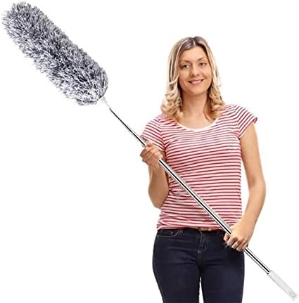 Extendable feather duster for reaching high spots like holiday garlands